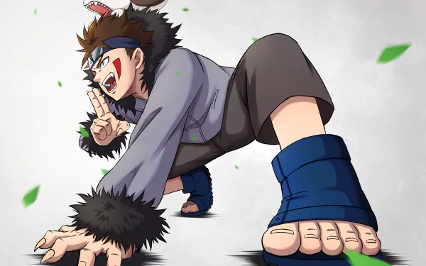 Kiba Inuzuka Anime Naruto HD Desktop Wallpaper | Background Image