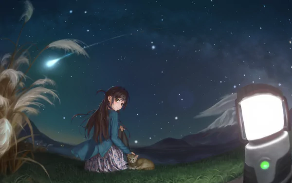 Chizuru Ichinose (Anime, Rent-A-Girlfriend) sits on a grassy hill with a cat beneath a starry sky and shooting star, soft lantern glow in the foreground — 4K Ultra HD PC desktop wallpaper/background.