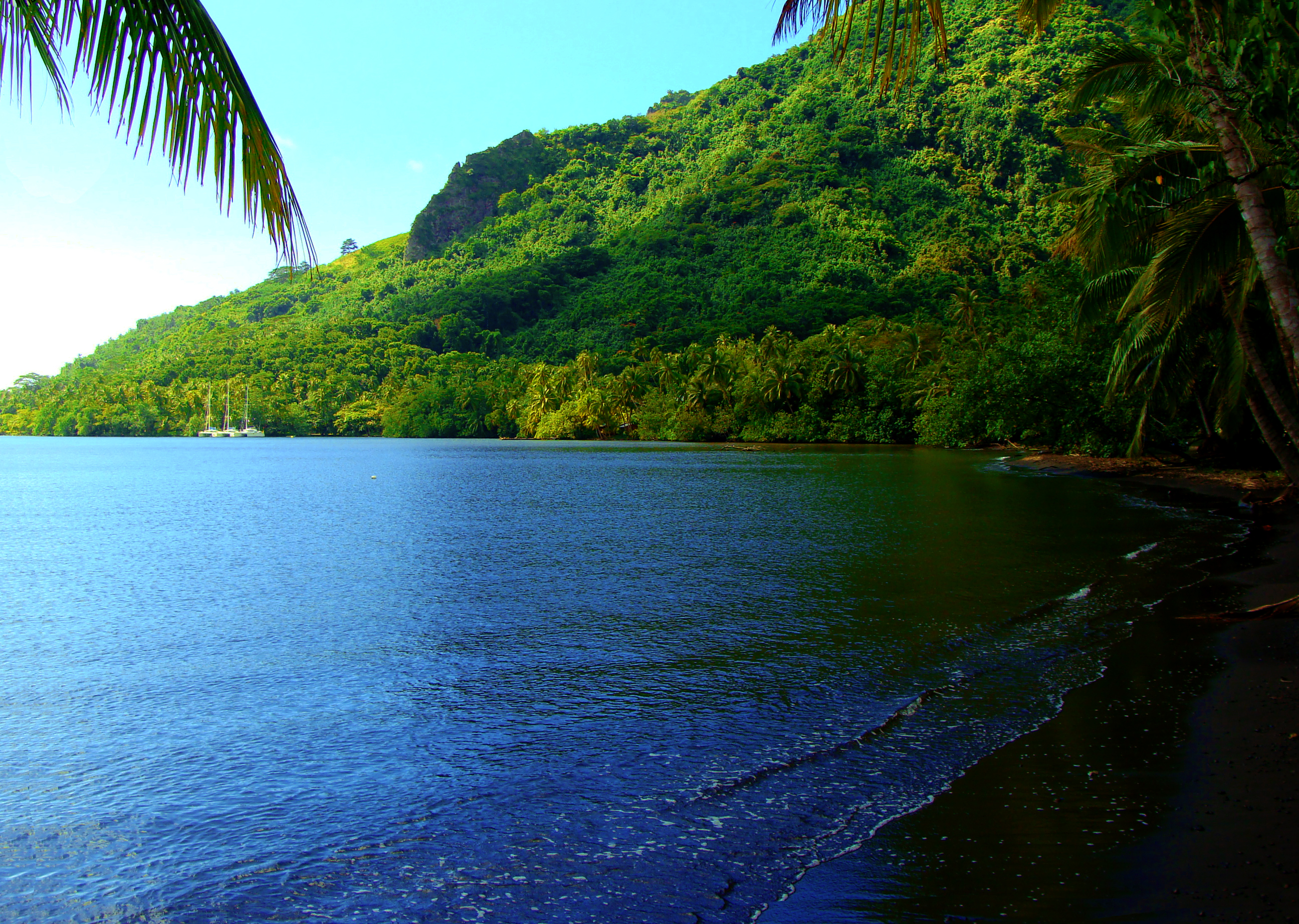 A serene coastline surrounded by breathtaking nature.