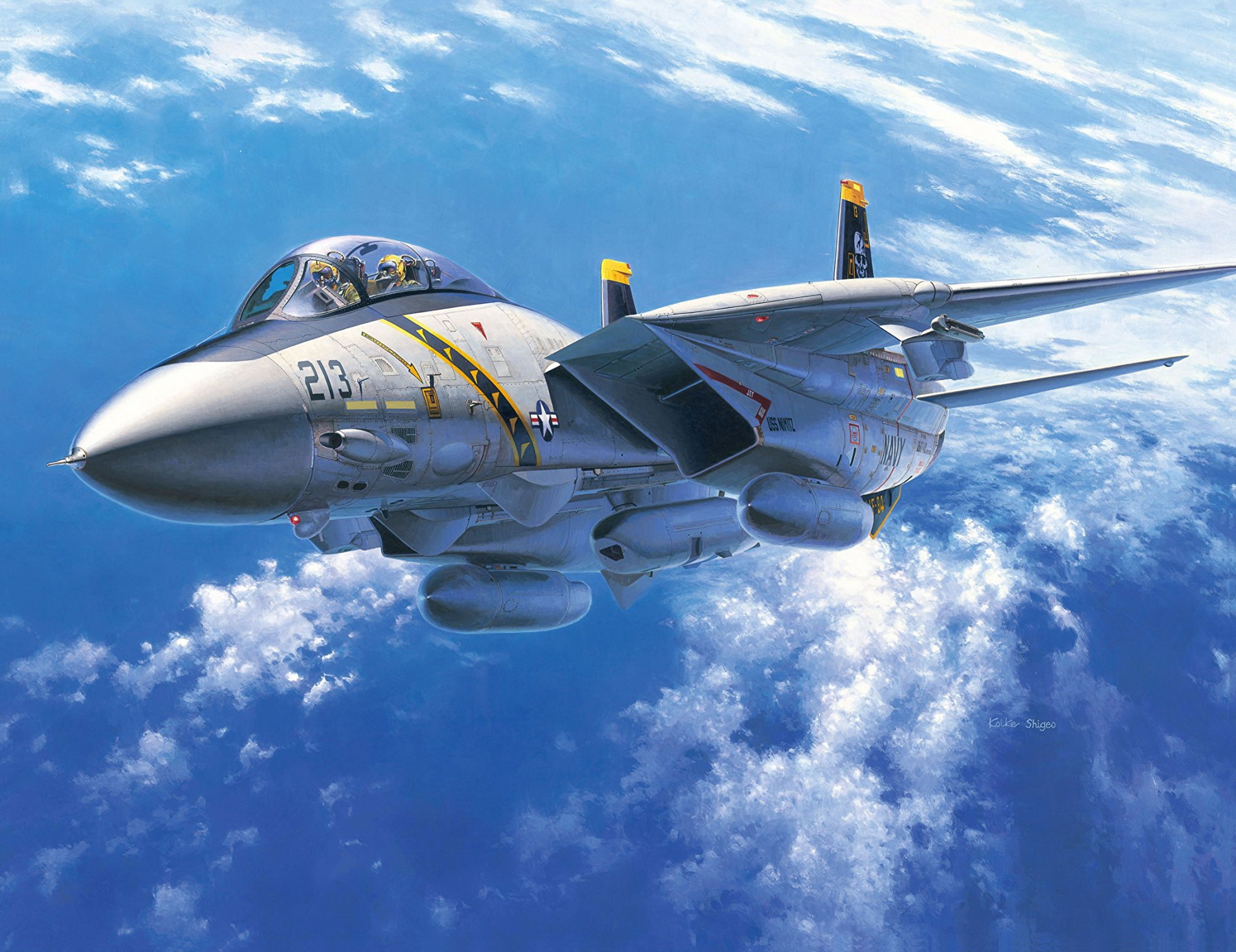 F 14 Wallpaper Microsoft Flight Simulator F 14 TOMCAT RELEASE