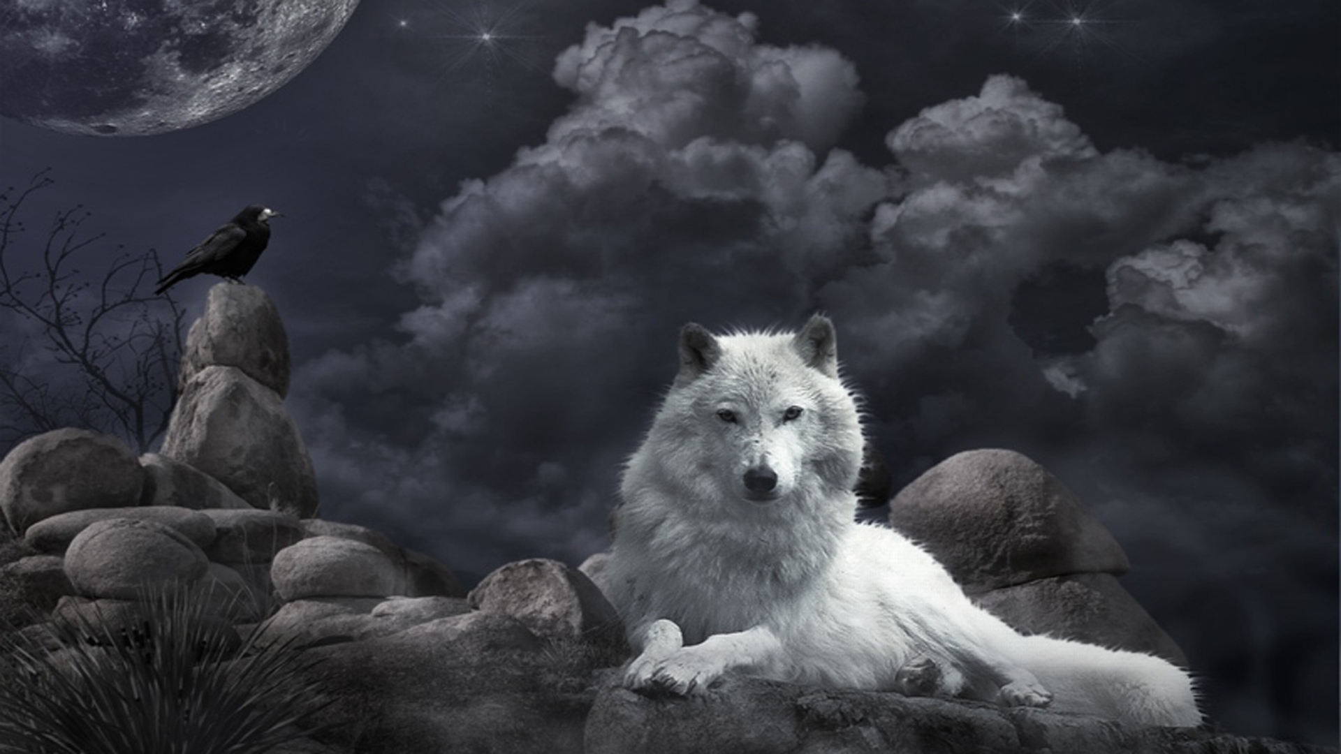 Wallpaper loup