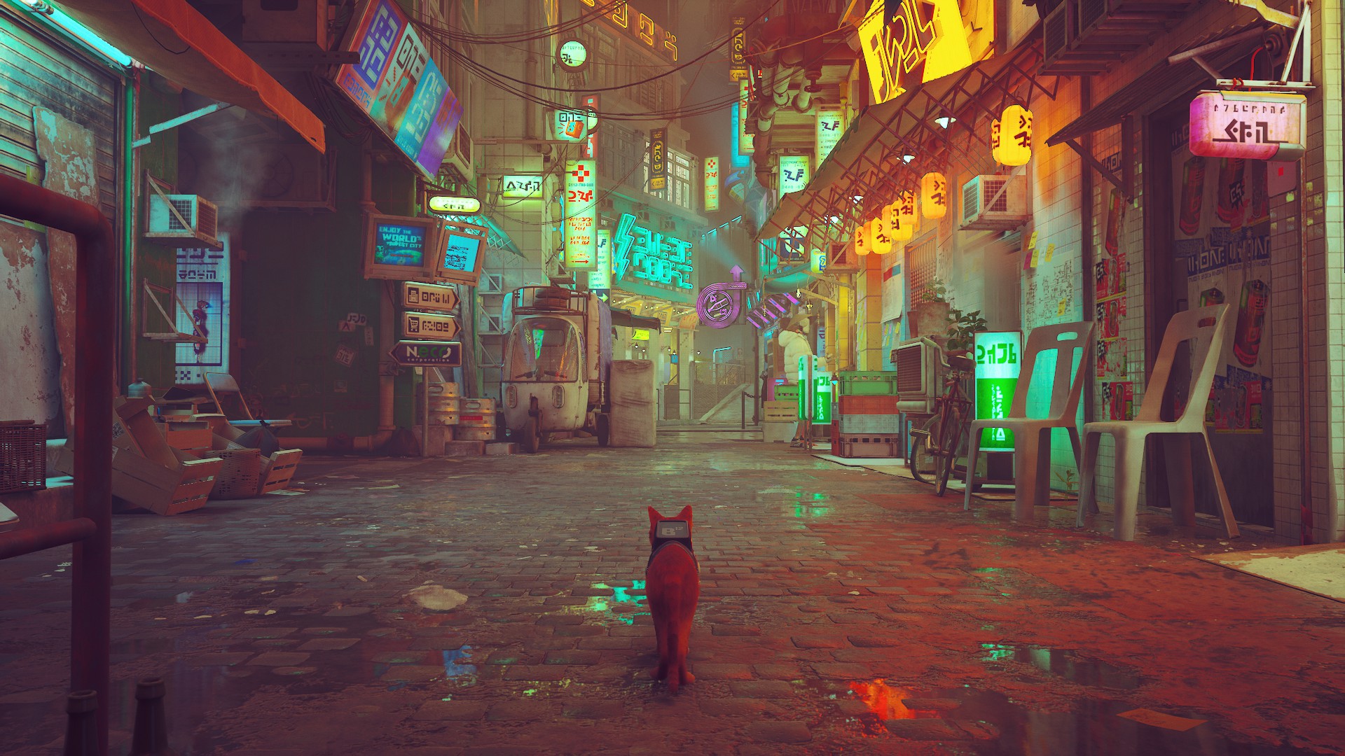 Download Video Game Stray HD Wallpaper