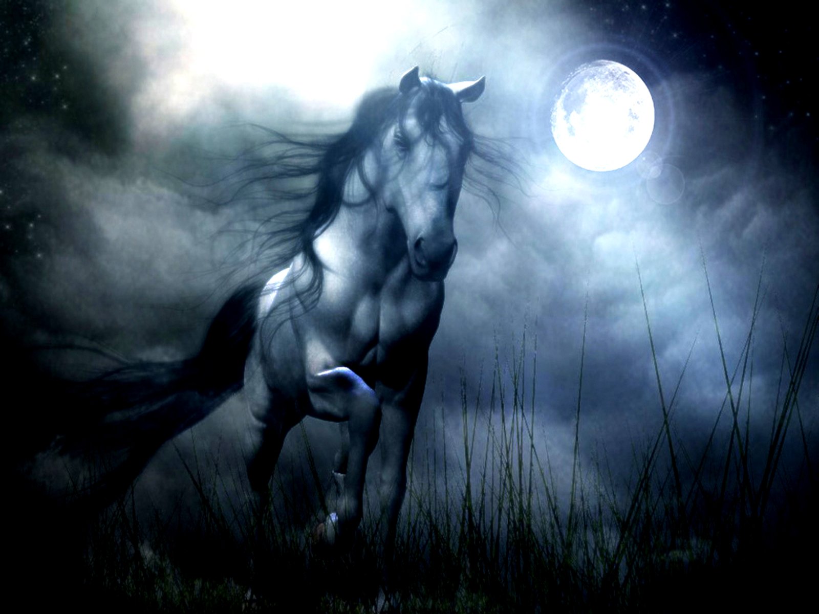 A majestic fantasy horse stands in a moonlit landscape with misty clouds, set as an HD desktop wallpaper and background.
