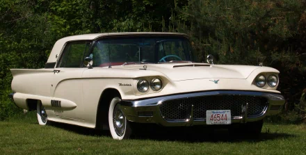 HD PC desktop wallpaper of a cream vintage Ford Thunderbird parked on grass, front three-quarter view against trees.