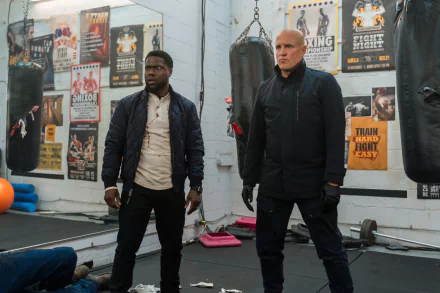 Kevin Hart Woody Harrelson movie The Man From Toronto HD Desktop Wallpaper | Background Image