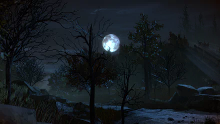  Moon