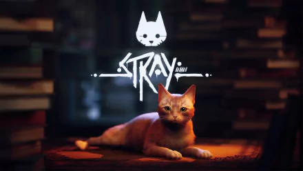 HD PC desktop wallpaper featuring a detailed orange cat from the video game Stray, set against a dimly lit, blurred background with the game's logo above.