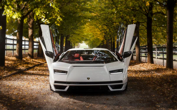 vehicle Lamborghini Countach LPI 800-4 HD Desktop Wallpaper | Background Image