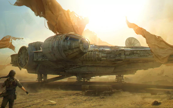  Millennium Falcon by Andree Wallin