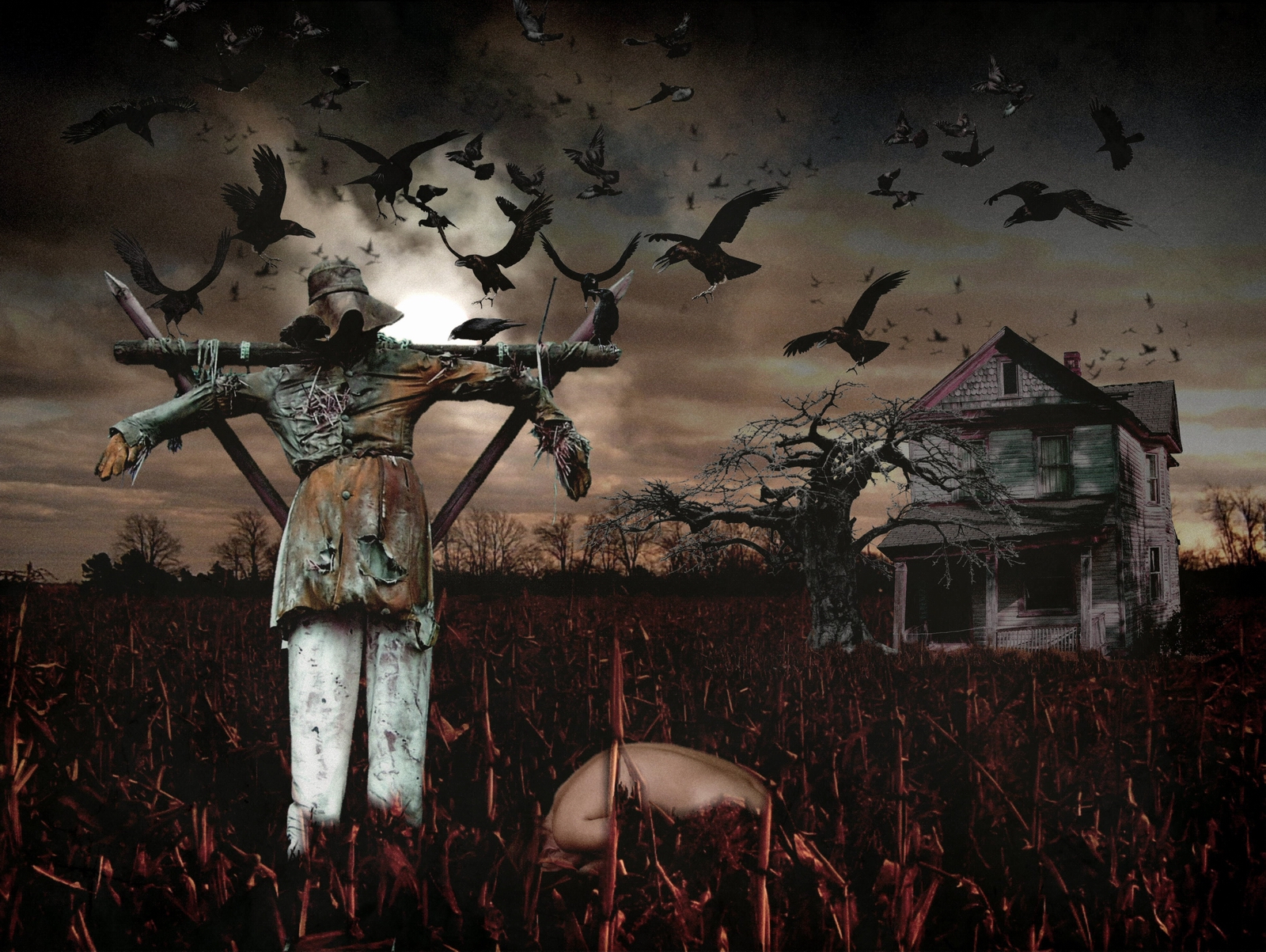 Dark Scarecrow HD Wallpaper | Background Image
