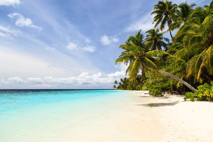 tropical nature beach tropical beach HD Desktop Wallpaper | Background Image
