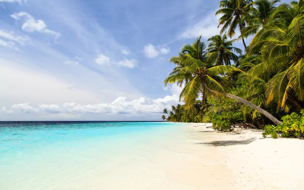 tropical nature beach tropical beach HD Desktop Wallpaper | Background Image