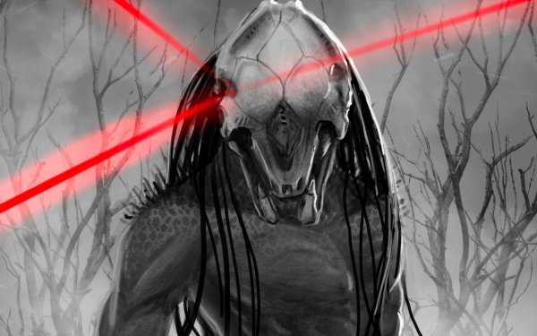 Movie Prey (2022) Predator HD Wallpaper | Background Image