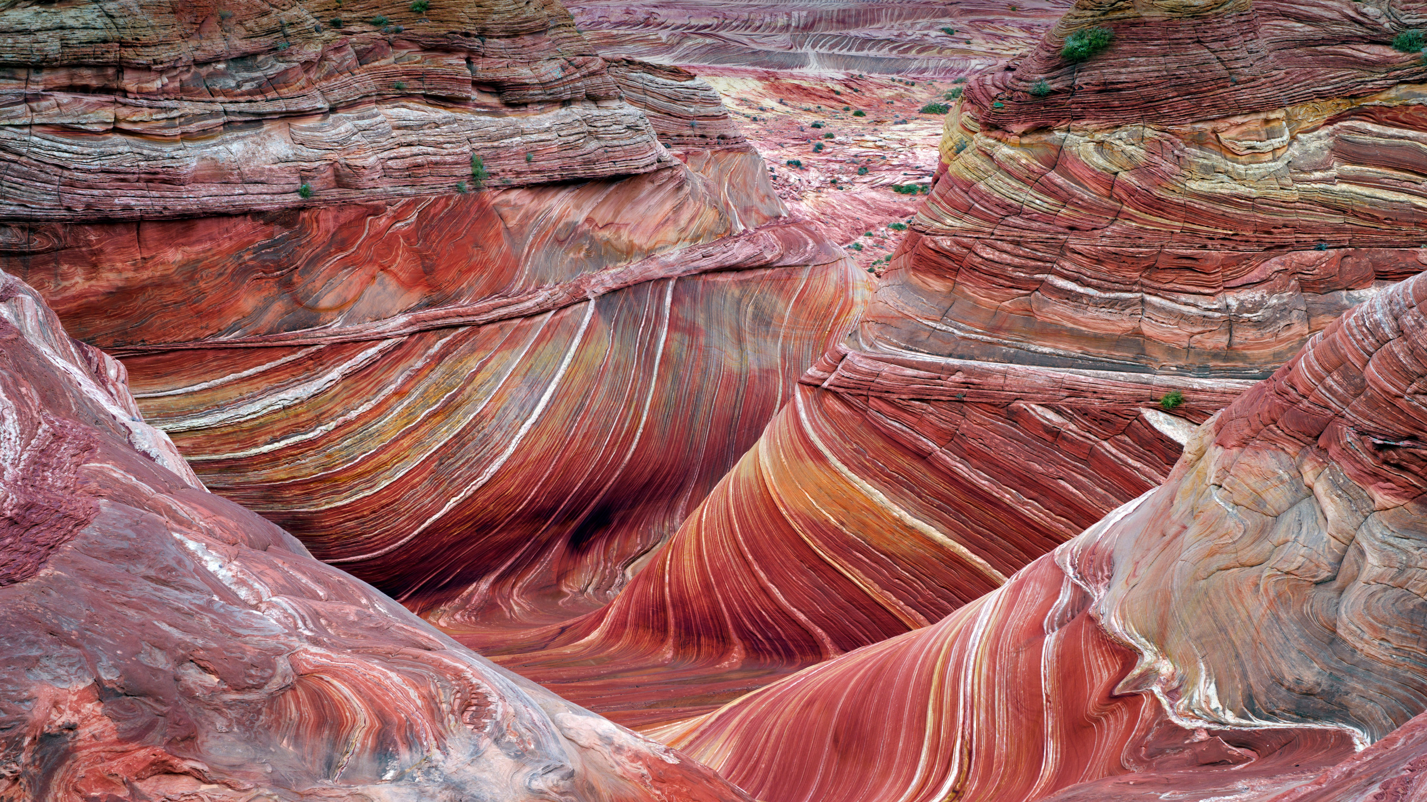 The Wave - Coyote Buttes North, Paria Canyon-Vermilion Cliffs National Monument, Arizona by Dennis Frates