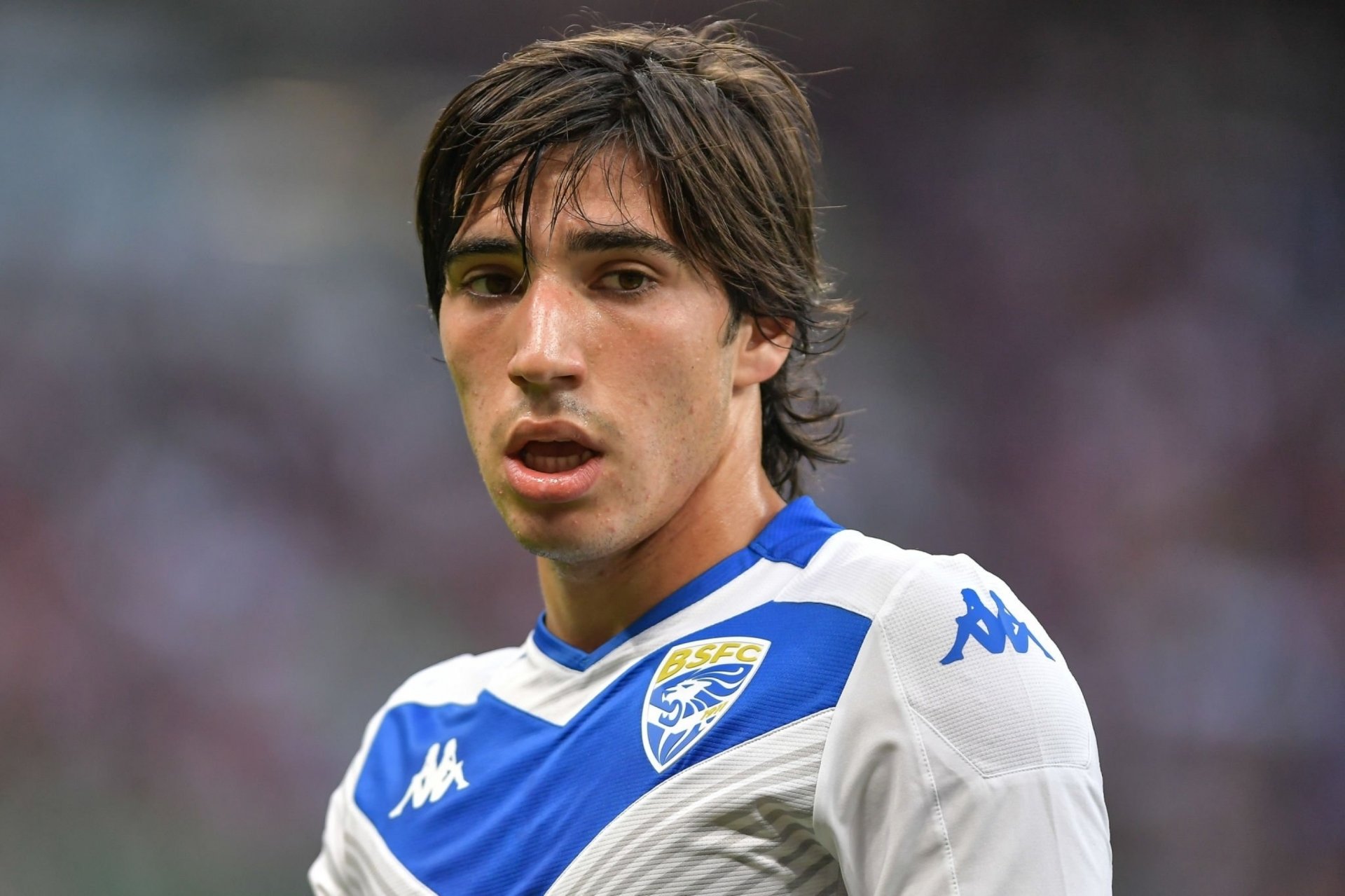 Brescia Calcio HD Wallpaper featuring Sandro Tonali