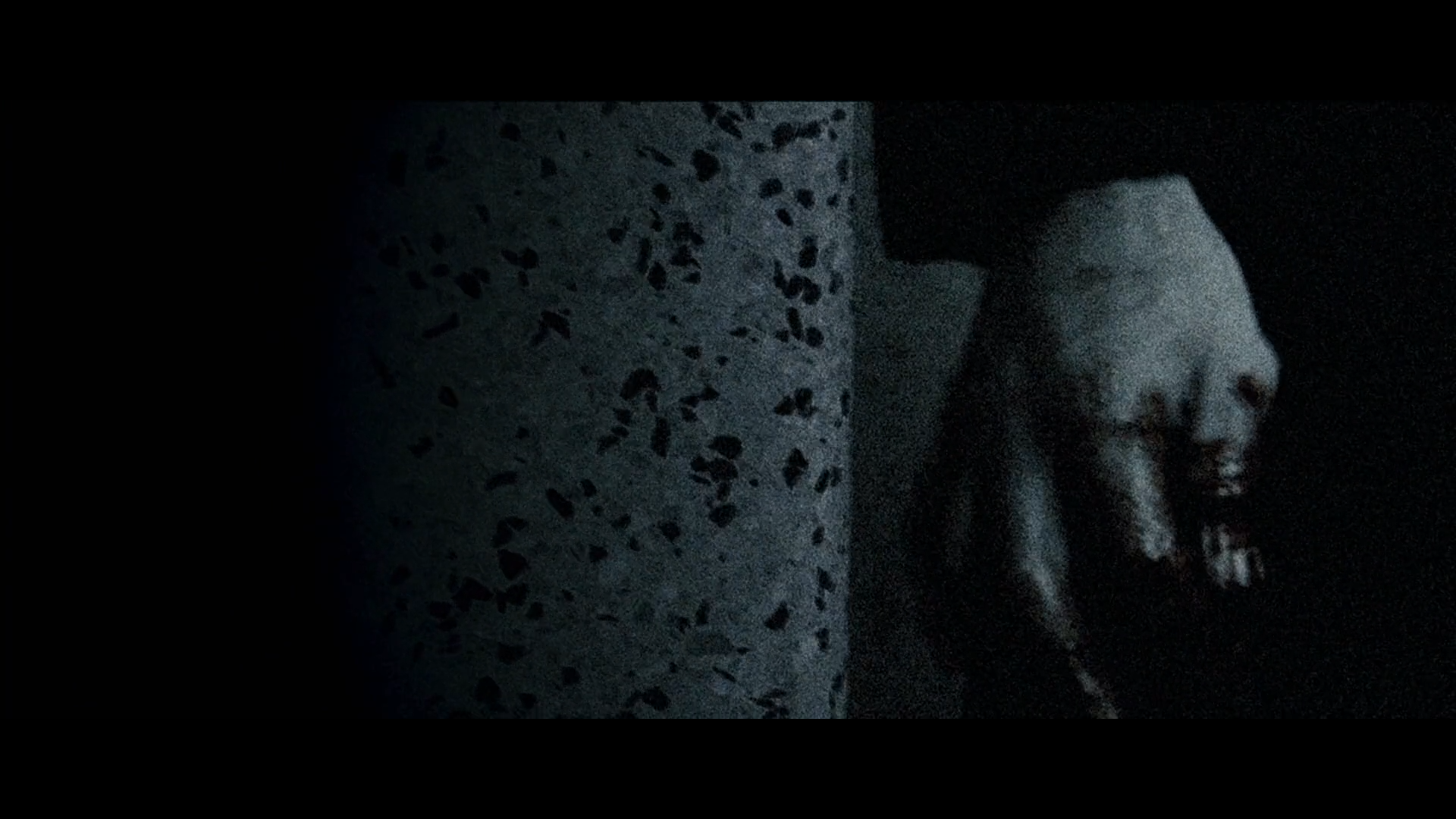 Download Movie Shrooms HD Wallpaper