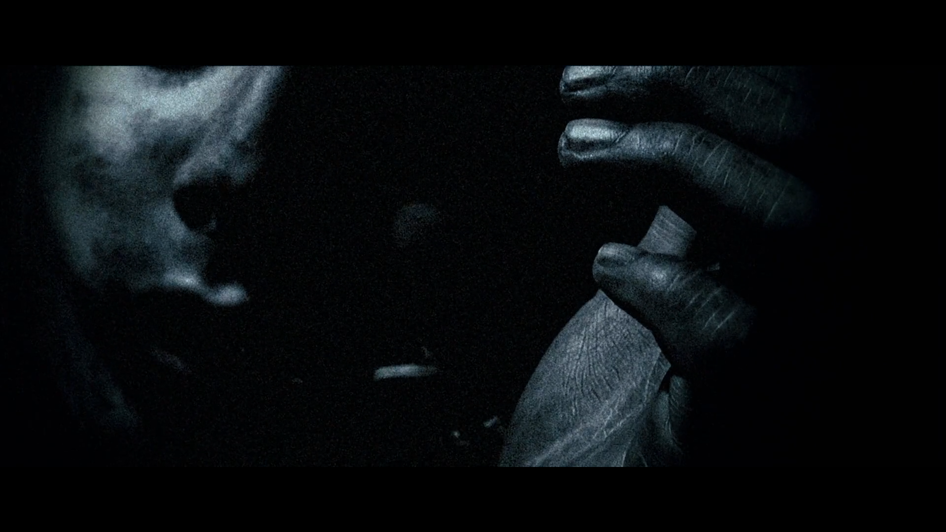 Download Movie Shrooms HD Wallpaper