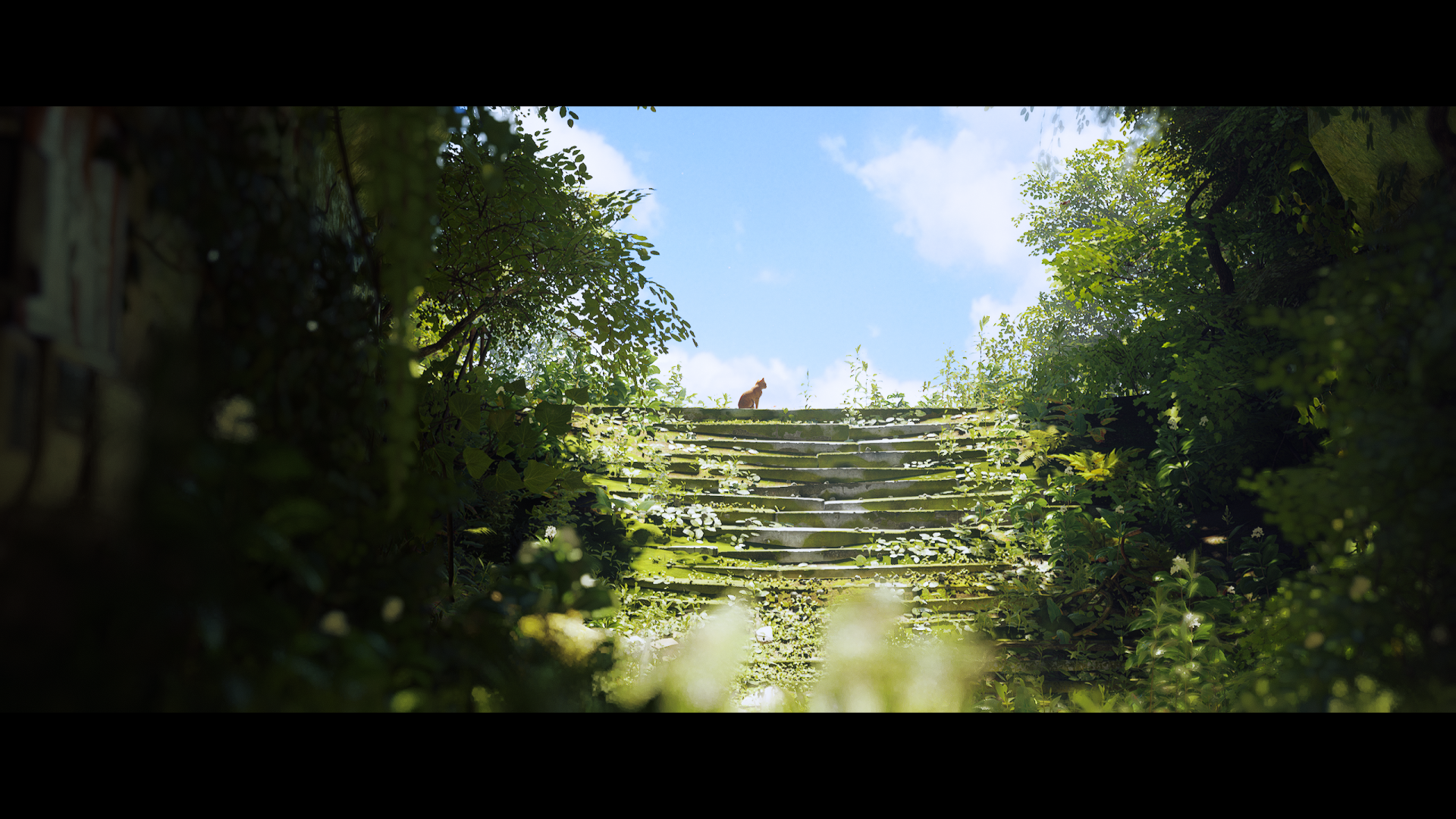 HD PC wallpaper from the video game Stray, featuring a cat standing atop sunlit stone steps surrounded by lush greenery.