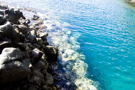 photography nature HD Desktop Wallpaper | Background Image