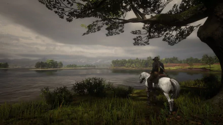  Red dead redemption 2