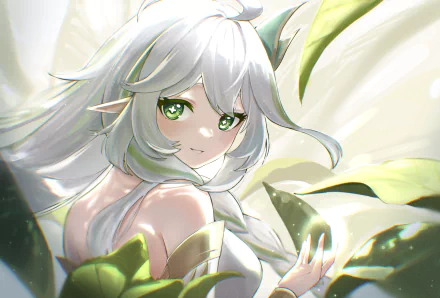 Greater Lord Rukkhadevata video game Genshin Impact HD Desktop Wallpaper | Background Image