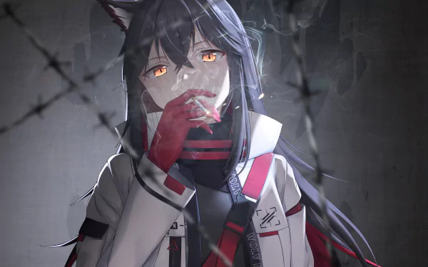 Texas (Arknights) video game Arknights HD Desktop Wallpaper | Background Image