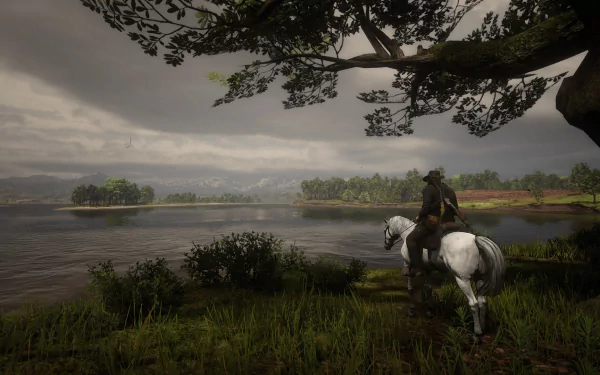  Red dead redemption 2