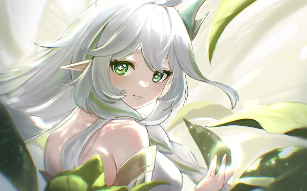 Greater Lord Rukkhadevata video game Genshin Impact HD Desktop Wallpaper | Background Image