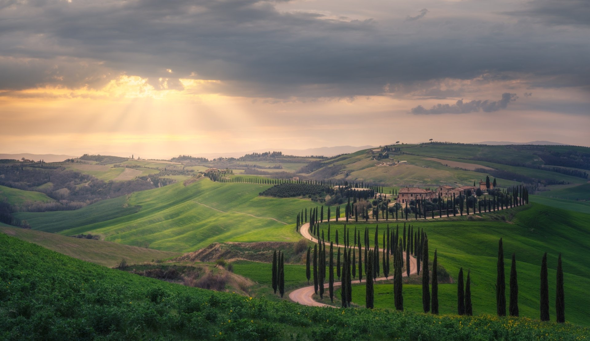 Golden Tuscany: HD Wallpaper