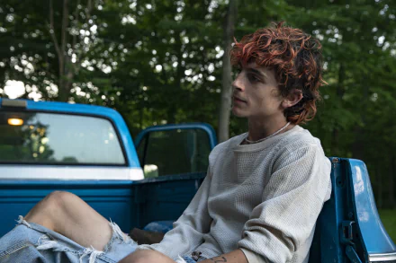  Timothée Chalamet