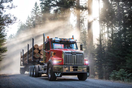 8K Ultra HD wallpaper of a Western Star logging truck carrying timber on a forest road with sunlight streaming through tall trees.