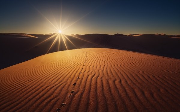 Earth Desert Sunrise HD Wallpaper | Background Image