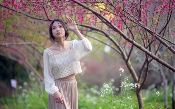 Women Asian HD Wallpaper | Background Image