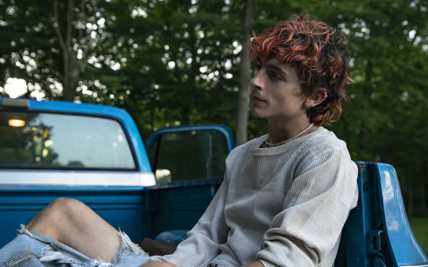  Timothée Chalamet