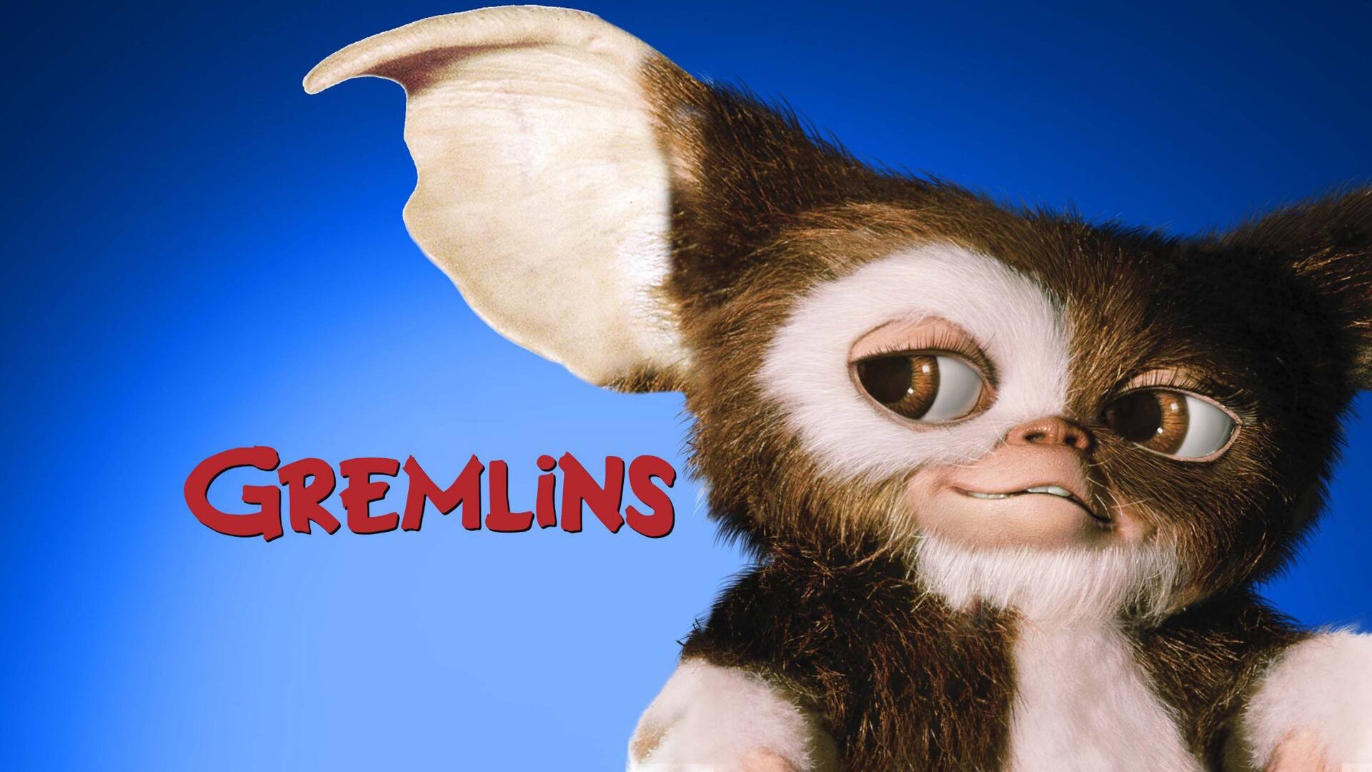 Gremlins Wallpapers  Top Free Gremlins Backgrounds  WallpaperAccess