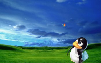 Wallpaper ID : 12970