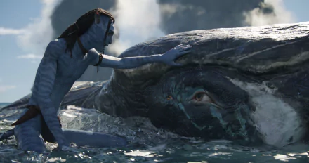 HD desktop wallpaper from Avatar: The Way of Water featuring a Na'vi character touching the head of a whale-like creature under the ocean.
