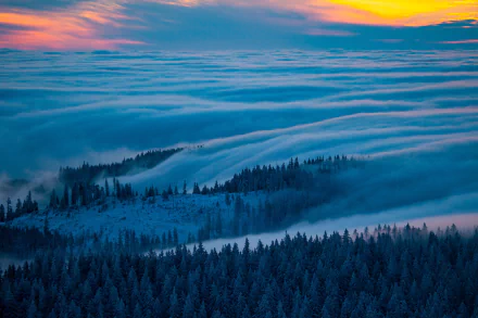 HD desktop wallpaper featuring a serene sea of clouds rolling over a fog-covered forest at sunset.