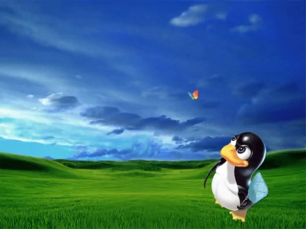 HD desktop wallpaper featuring a penguin in a lush green field with a bright blue sky, representing Linux technology.