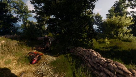  Dark Path - The Witcher 3 Wild Hunt - Next Gen