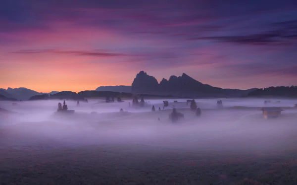 nature fog HD Desktop Wallpaper | Background Image