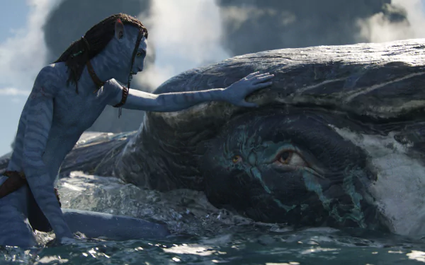 HD desktop wallpaper from Avatar: The Way of Water featuring a Na'vi character touching the head of a whale-like creature under the ocean.