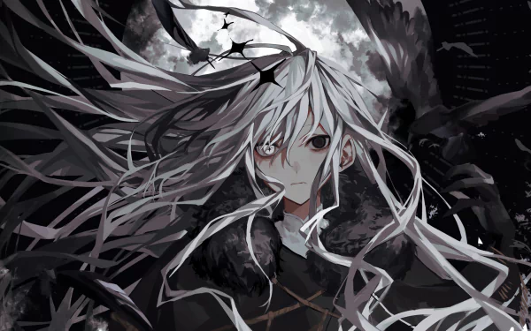 Anime Black Bird HD Desktop Wallpaper | Background Image