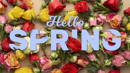 Artistic 4K Ultra HD desktop wallpaper featuring vibrant red, yellow, and pink roses with “Hello Spring” text, capturing the freshness and beauty of the spring season.