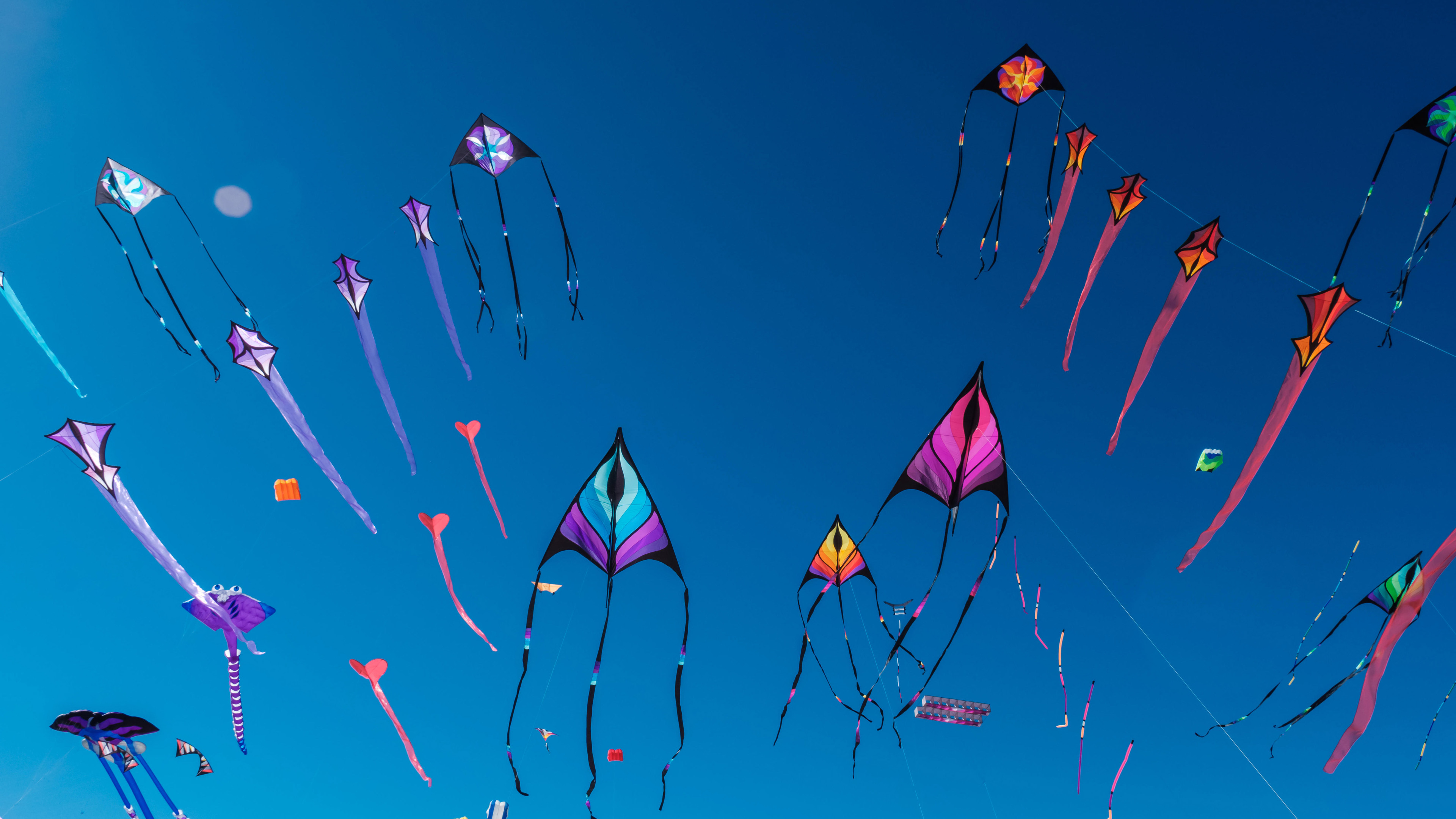 Adelaide International Kite Festival, Australia by Andrey Moisseyev