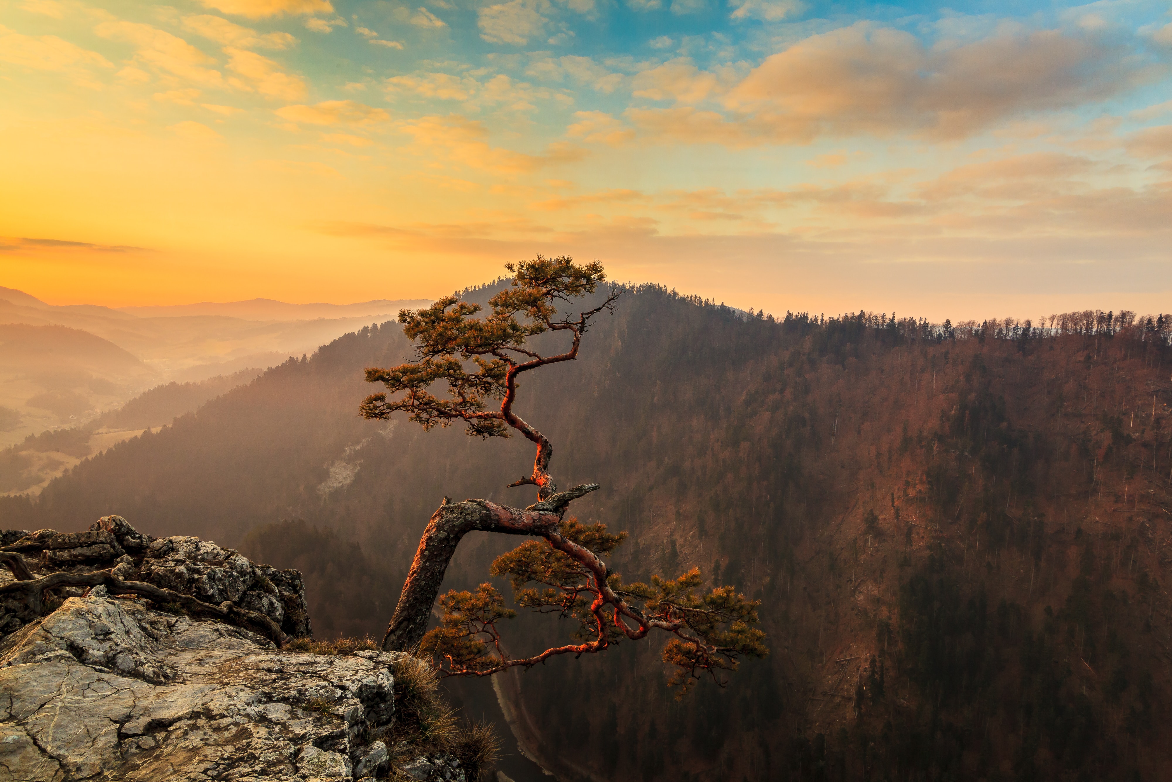 A lone tree along a mountain ridge by Maciek Sulkowski