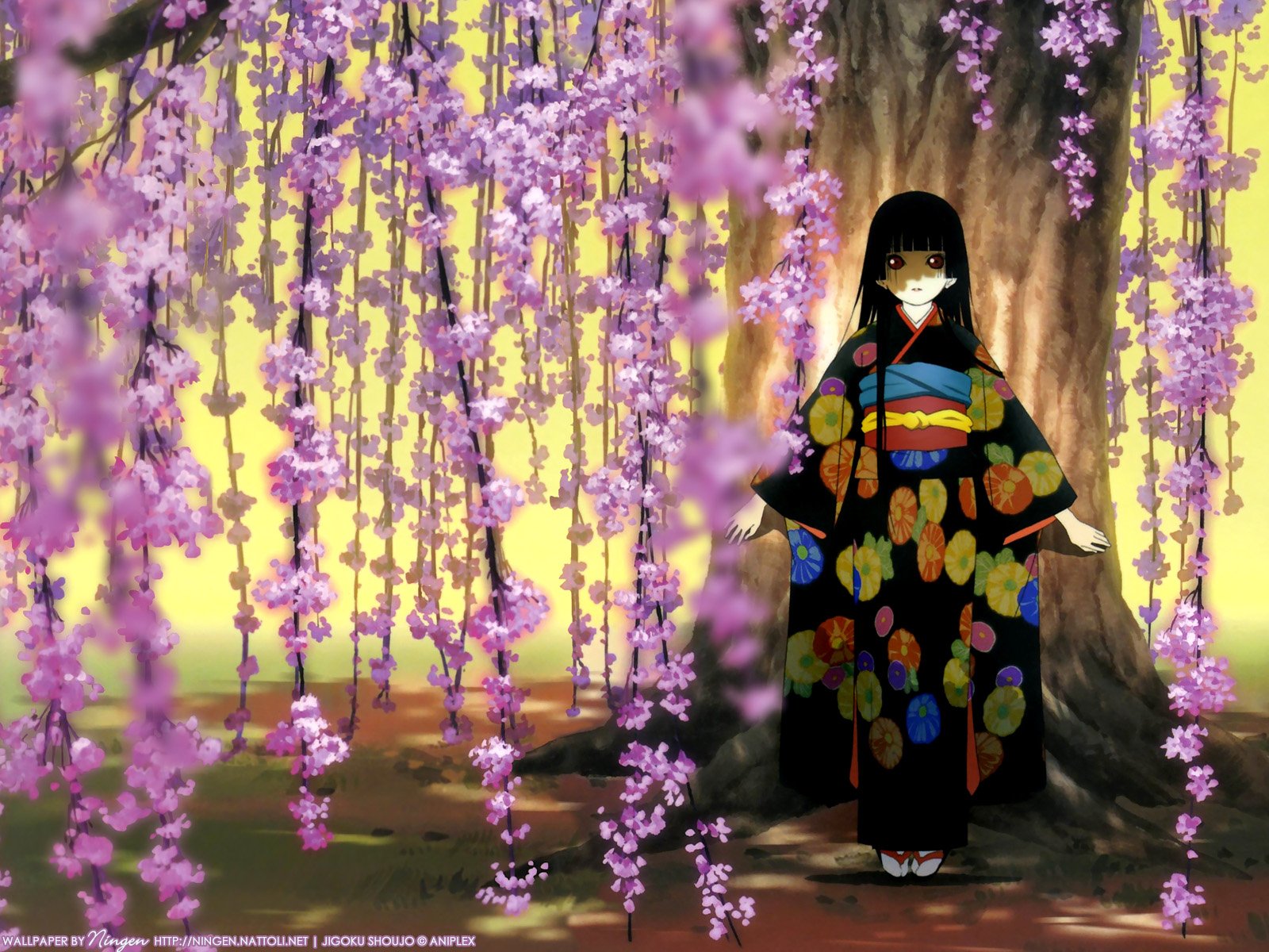 HD PC desktop wallpaper/background: Anime Hell Girl in a black kimono with colorful patterns standing by a tree, framed by cascading purple wisteria blossoms.