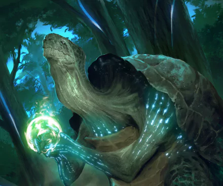  Turtle of Mercy by Duong ct