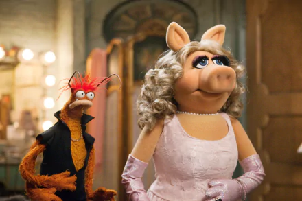 Miss Piggy movie The Muppets (TV Show) HD Desktop Wallpaper | Background Image