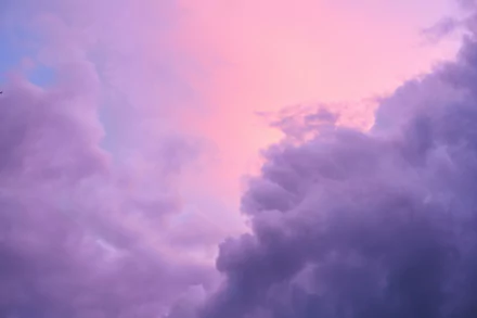  Lavender Haze by Rodion Kutsaiev